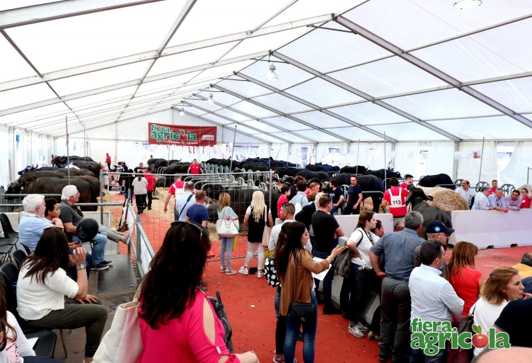La Bufala Mediterranea Italiana protagonista a Fiera Agricola grazie alla collaborazione con “Ris Bufala”