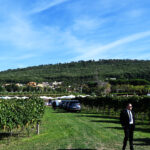 MONTERUSCELLO 25 (1)