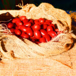 MONTERUSCELLO 25 (21)