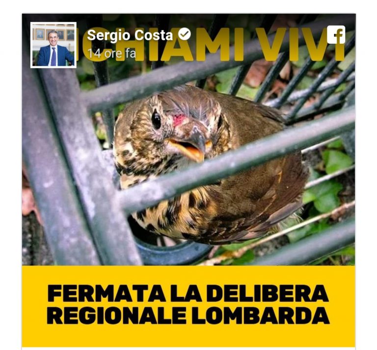 Vietato l’utilizzo dei richiami vivi per la caccia: annullata la delibera della Regione Lombardia