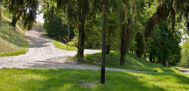 M5S: “Forestali, De Luca confessa di non aver pagato le Comunità Montane”